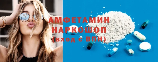 молекула духа Богданович