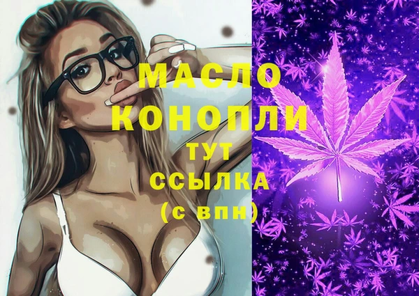 молекула духа Богданович