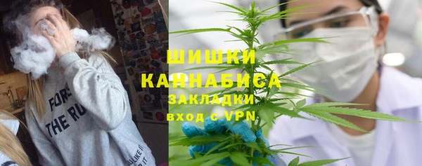 молекула духа Богданович