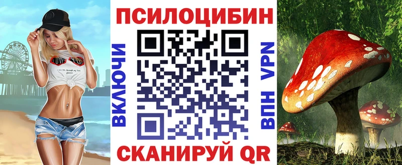 наркотики Бирюч Галлюциногенные грибы мицелий