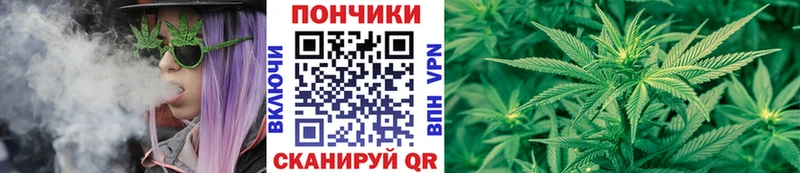 omg   Бирюч  Шишки марихуана SATIVA & INDICA 